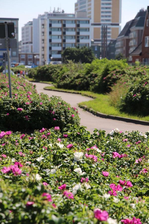 Dünenblick, App. 11 Apartment Westerland